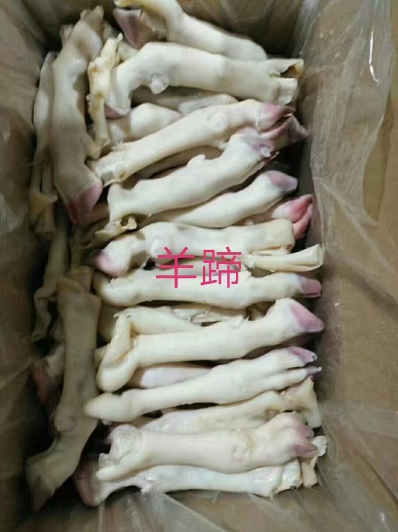 羊蹄(大中小)