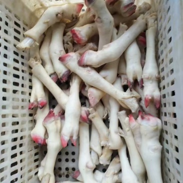 羊蹄(大中小)