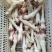 羊蹄(大中小)