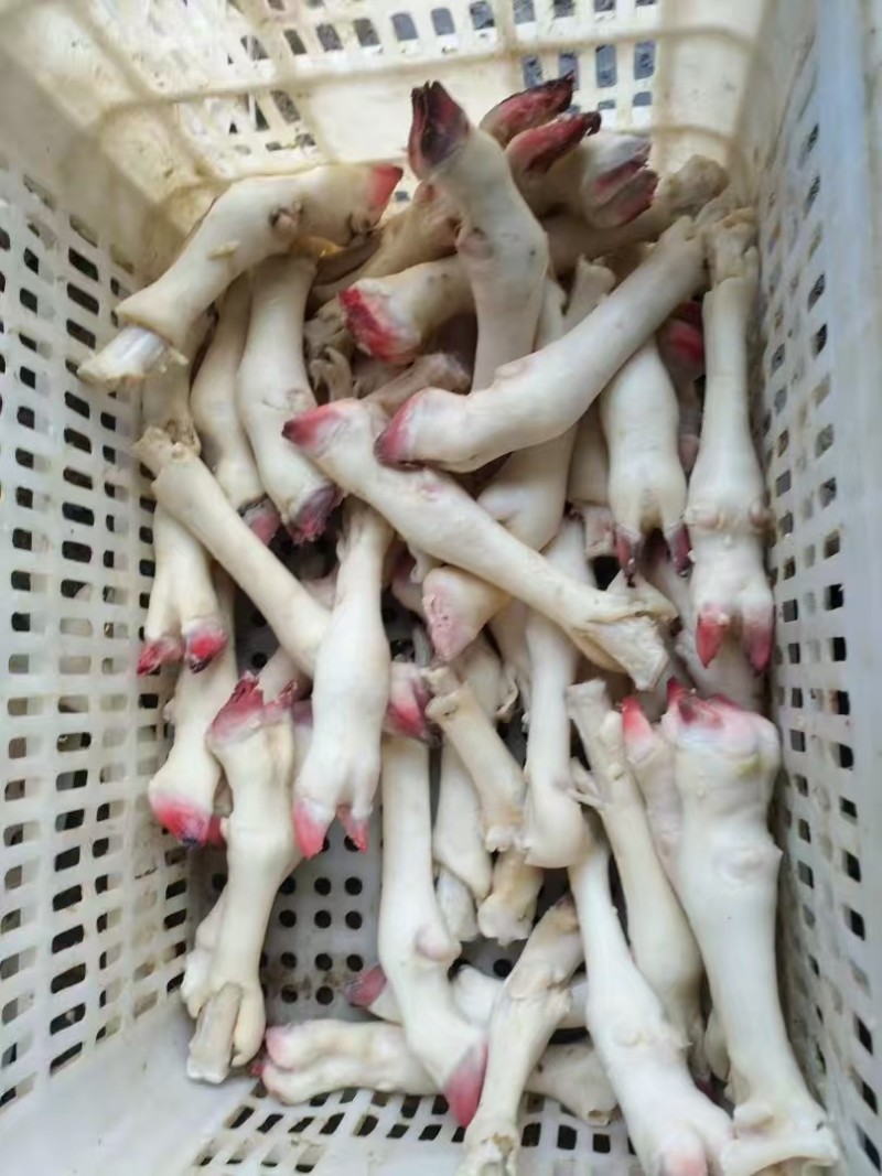 羊蹄(大中小)