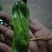 辣椒（芜湖椒螺丝椒圆椒小米椒）