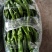 辣椒（芜湖椒螺丝椒圆椒小米椒）