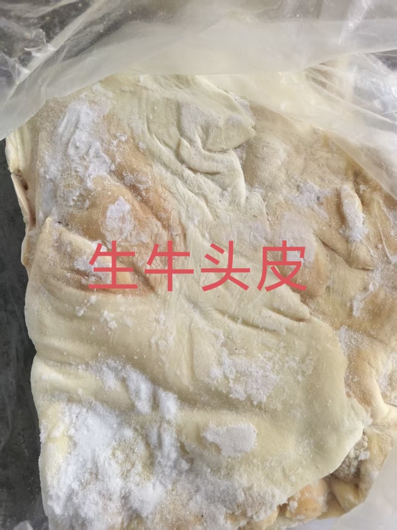 生牛头皮