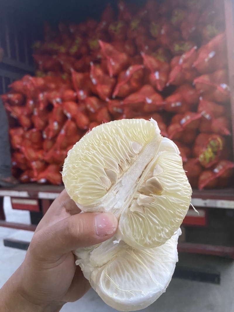 湖南安江冰糖柚，雪峰柚，药柚，小土柚，金兰柚…