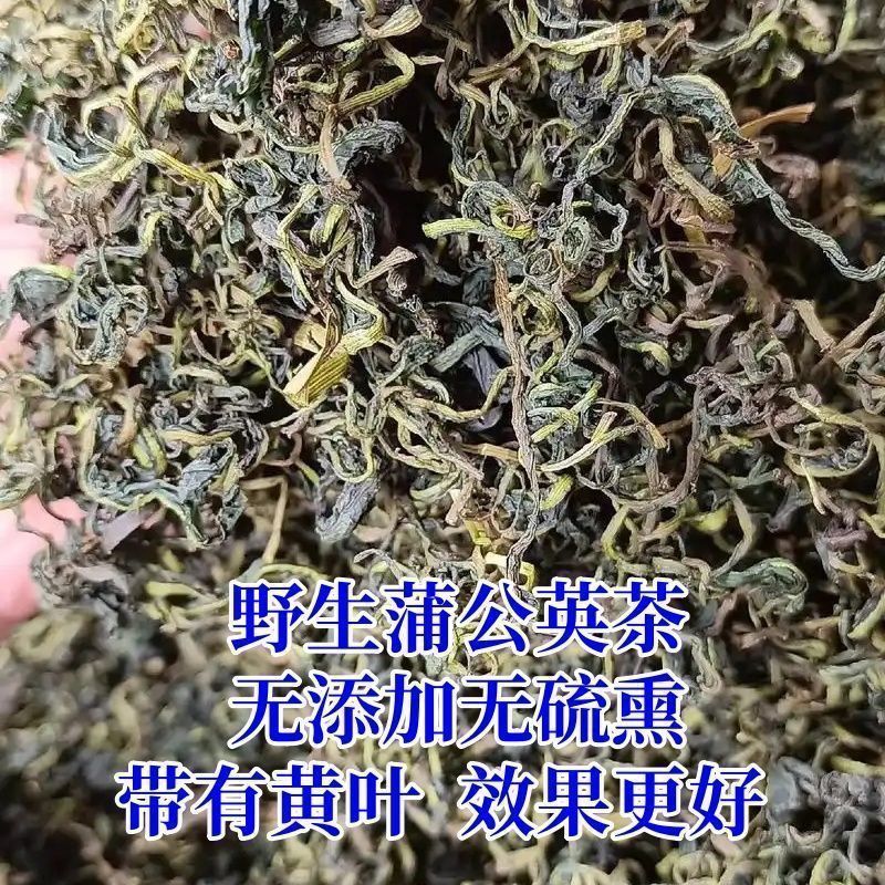 野生蒲公英茶带根带花纯干的新货蒲公英蒲公英泡水天然婆婆丁