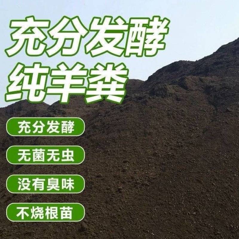 葡萄有机肥葡萄施肥发酵羊粪羊粪有机肥厂家羊粪价格