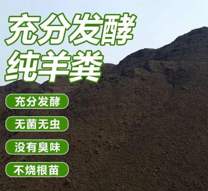 葡萄有机肥葡萄施肥发酵羊粪羊粪有机肥厂家羊粪价格