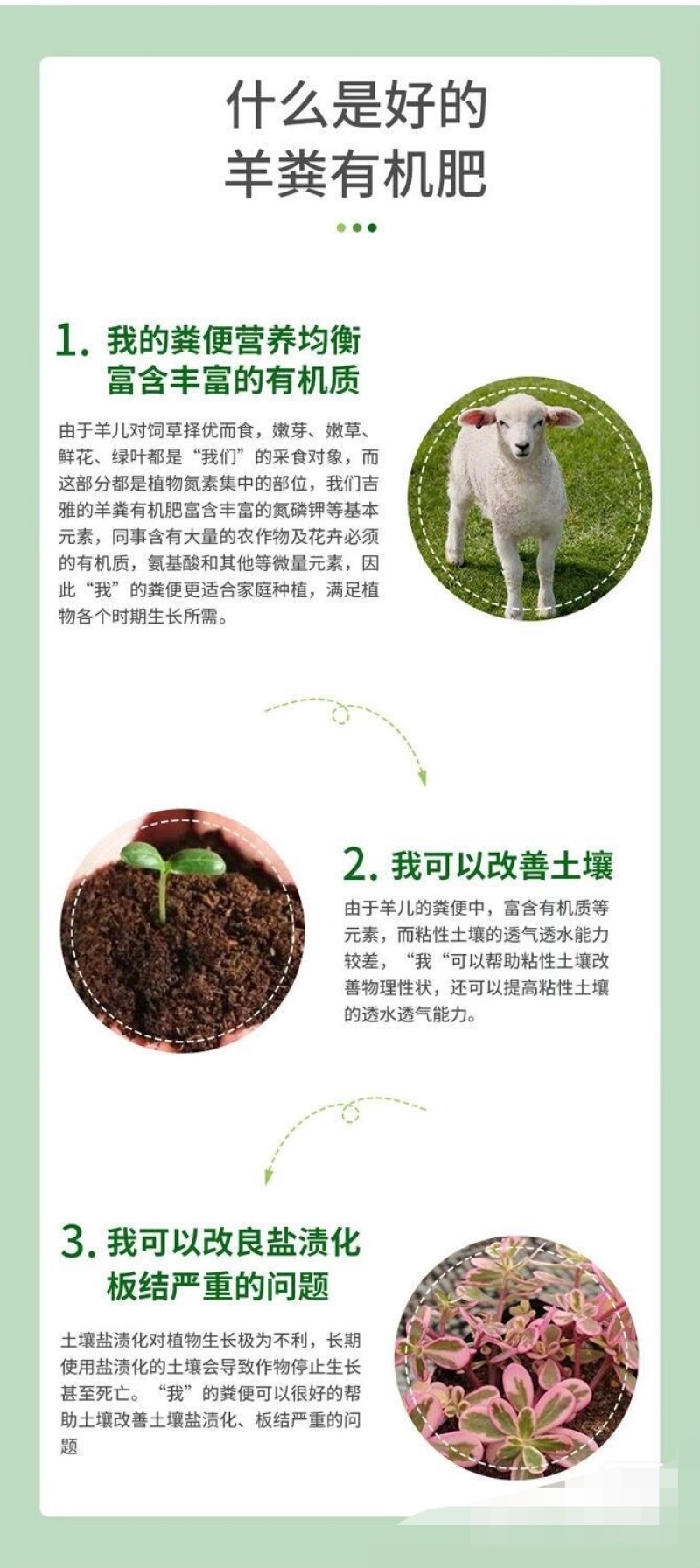 葡萄有机肥葡萄施肥发酵羊粪羊粪有机肥厂家羊粪价格