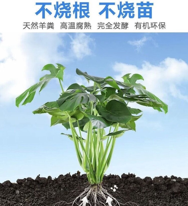 葡萄有机肥葡萄施肥发酵羊粪羊粪有机肥厂家羊粪价格