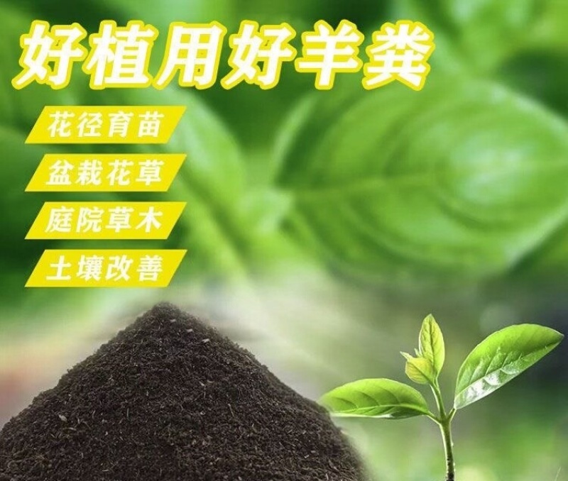 葡萄有机肥葡萄施肥发酵羊粪羊粪有机肥厂家羊粪价格
