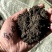 葡萄有机肥葡萄施肥发酵羊粪羊粪有机肥厂家羊粪价格