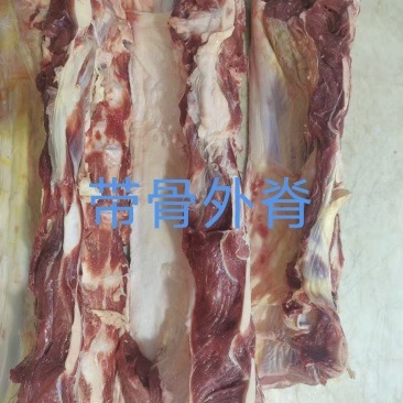 带骨外脊
