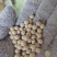 新下来的黄豆，农民自己种的，40个左右蛋白，水分13左右