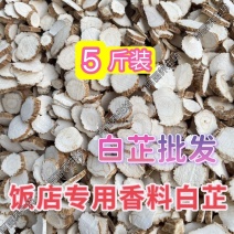 白芷产地直销白芷片干货大中片白芷正宗香料白芷批发卤味