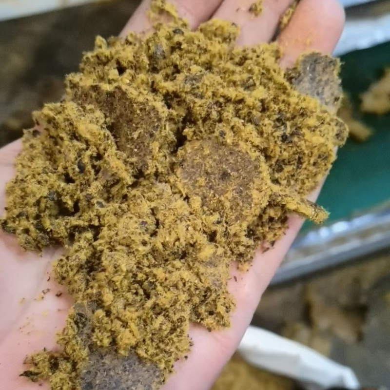 【全脂棉籽饼】厂家直销养殖专用育肥牛羊鸡鸭
