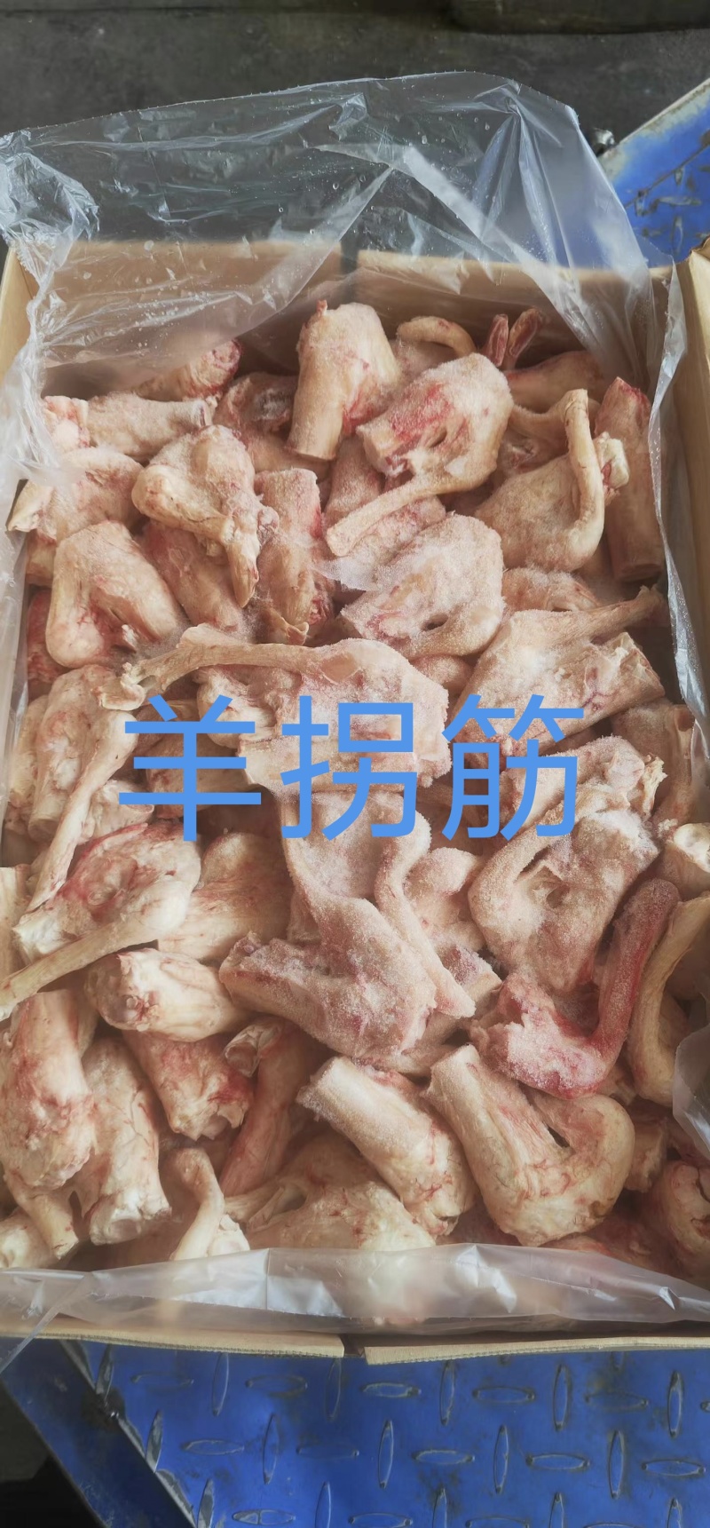 羊拐筋