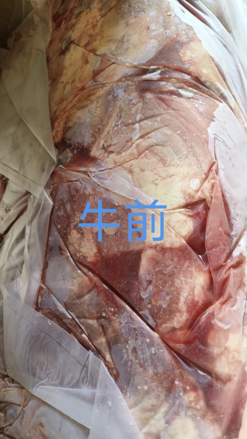 牛前