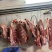 鸿壹农白条猪，瘦肉腿肉，边肉正常检疫票出厂放心供应