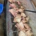 鸿壹农白条猪，瘦肉腿肉，边肉正常检疫票出厂放心供应