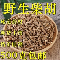 柴胡中药材北柴胡正品批发正宗甘肃野生北柴胡柴胡粉柴胡中草