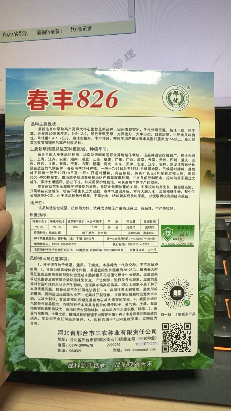 牛心甘蓝种子春丰826大果型甜脆亮绿牛心甘蓝秋季越冬