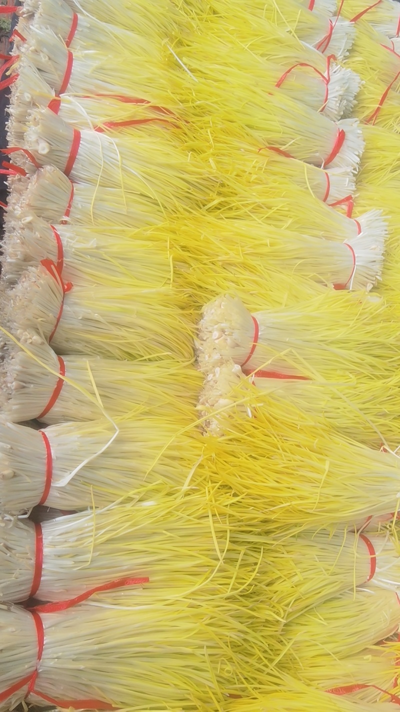 精品蒜黄大量有货，一手货源，，质量保证。