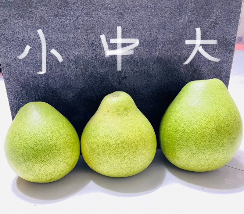麻麻柚，水份足，口感好，批发/电商/支持一件代发