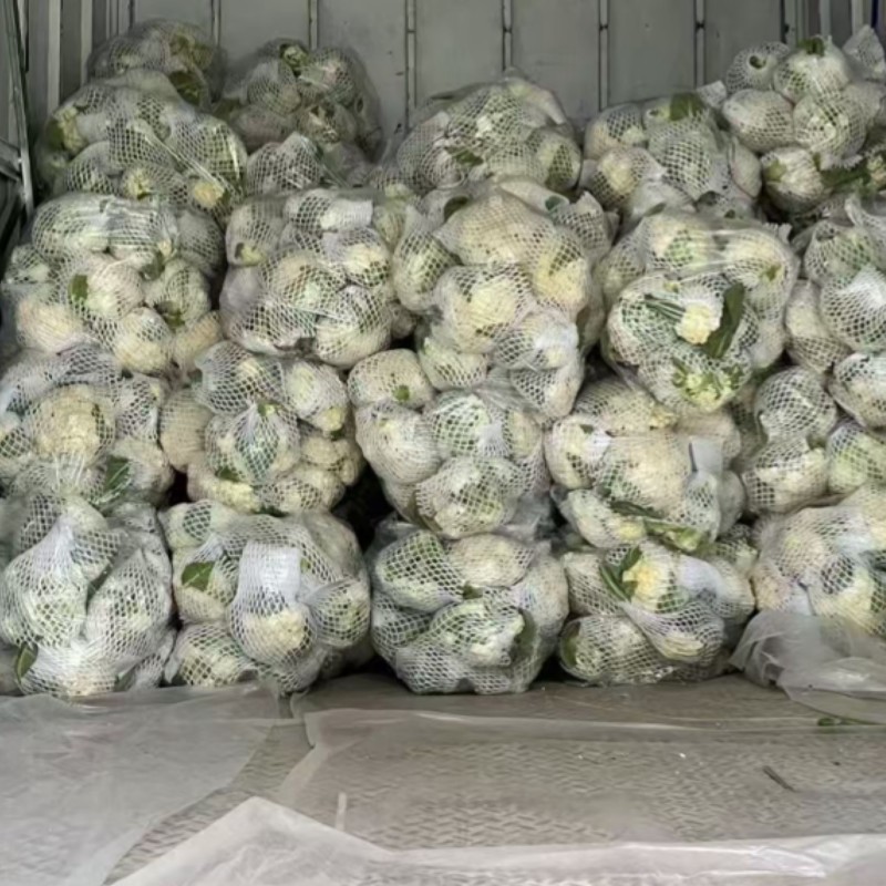 《热卖推荐》滑县有机花菜，产地直发，品质保证，大量供应