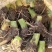 香芋仔