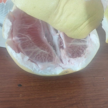 平和柚子