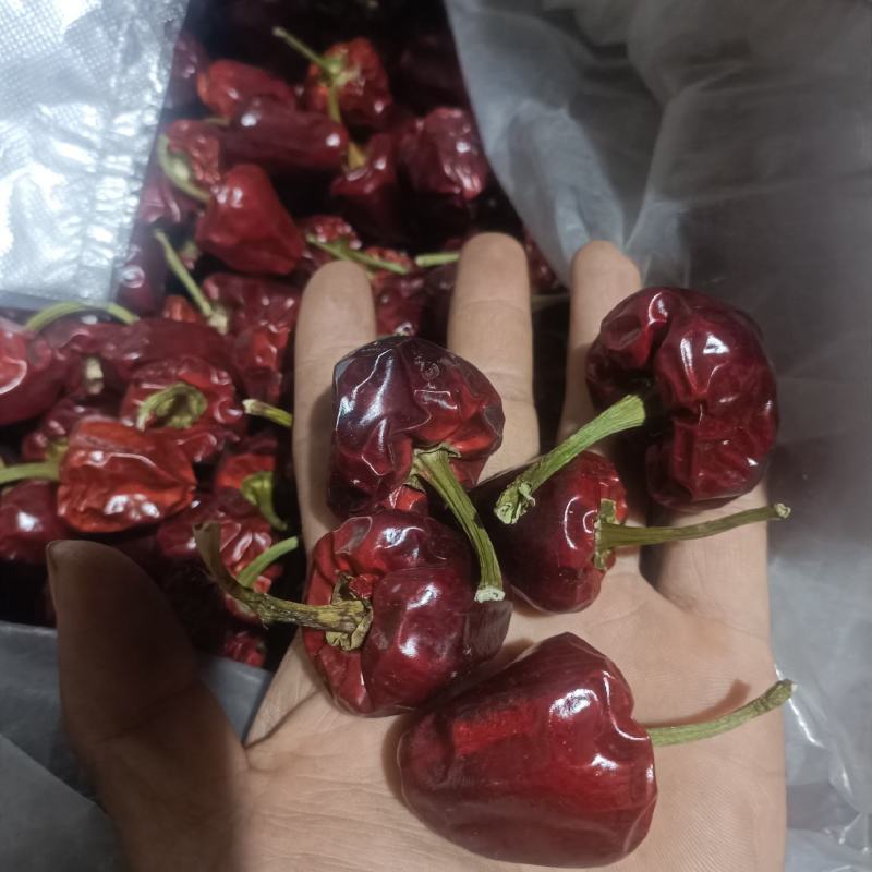 精品灯笼椒