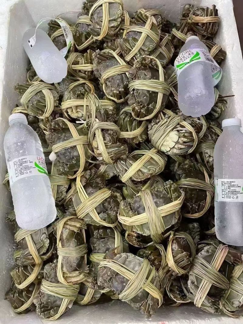 大闸蟹