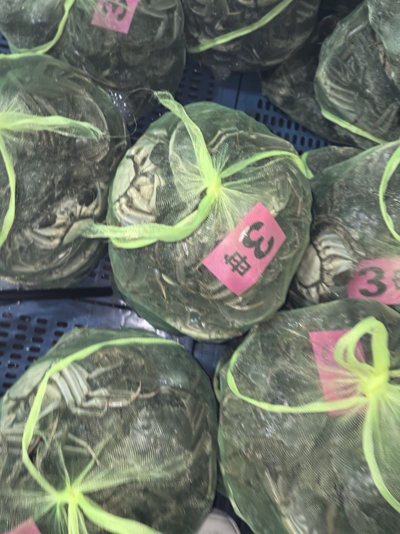 大闸蟹