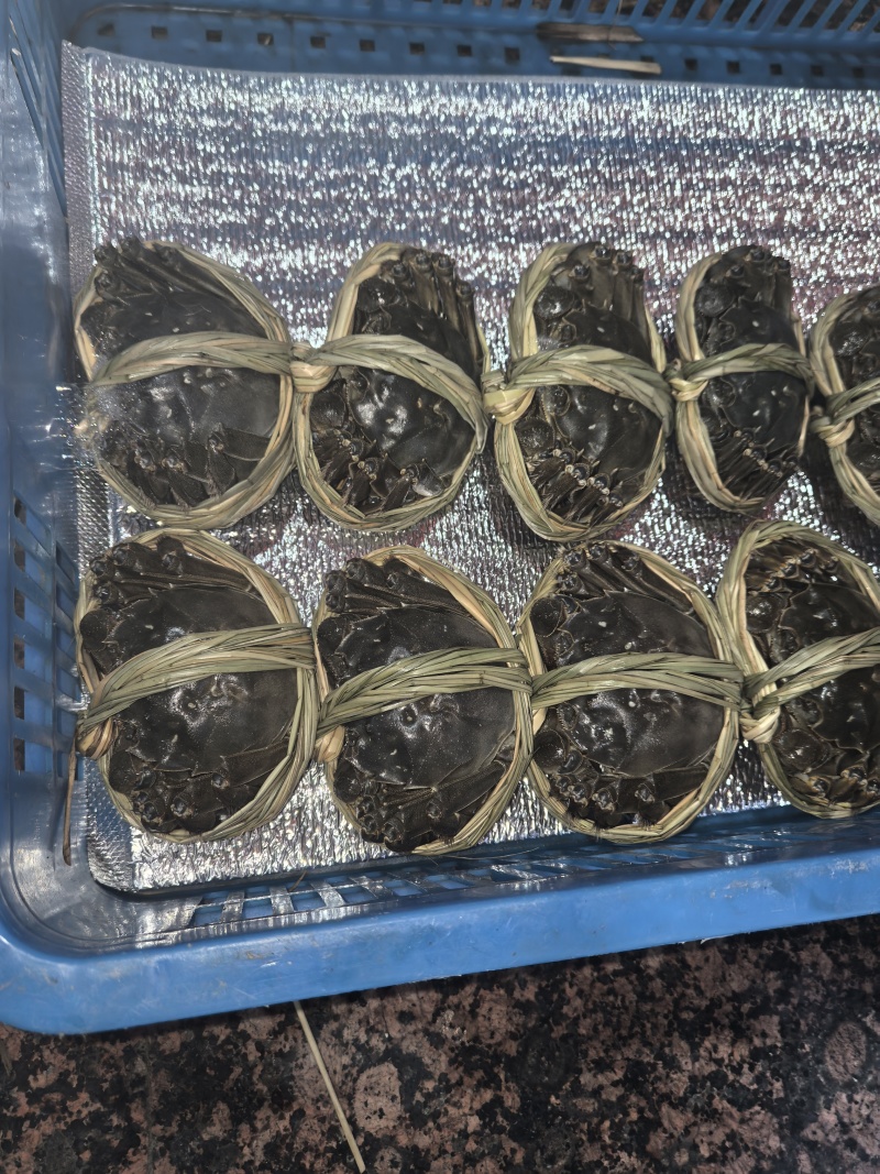 大闸蟹