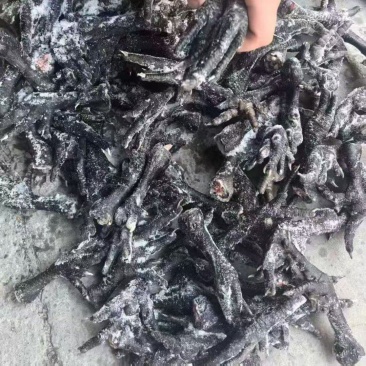 出售乌鸡爪