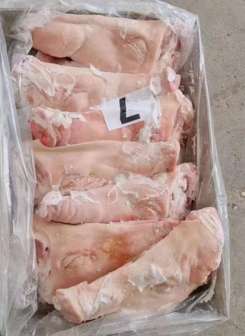 猪头鸿运当头喜宴宴席酒店熟食店专用，大小规格都有