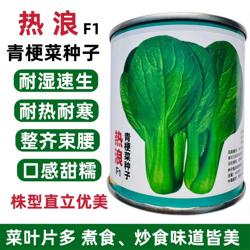 热浪青梗菜种子耐热耐湿速生小青菜种籽口感甜糯菜叶片多耐寒