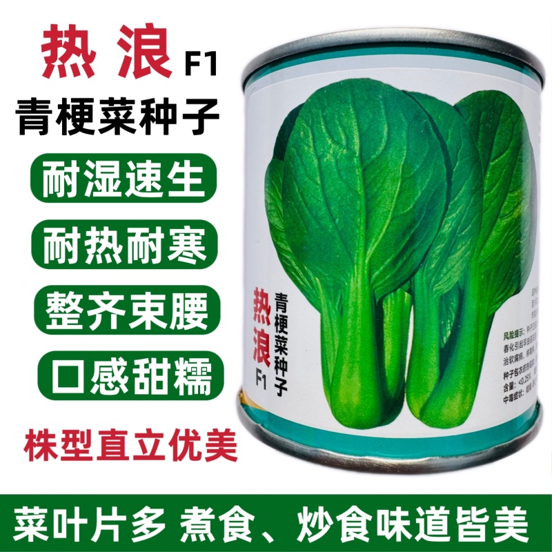 热浪青梗菜种子耐热耐湿速生小青菜种籽口感甜糯菜叶片多耐寒