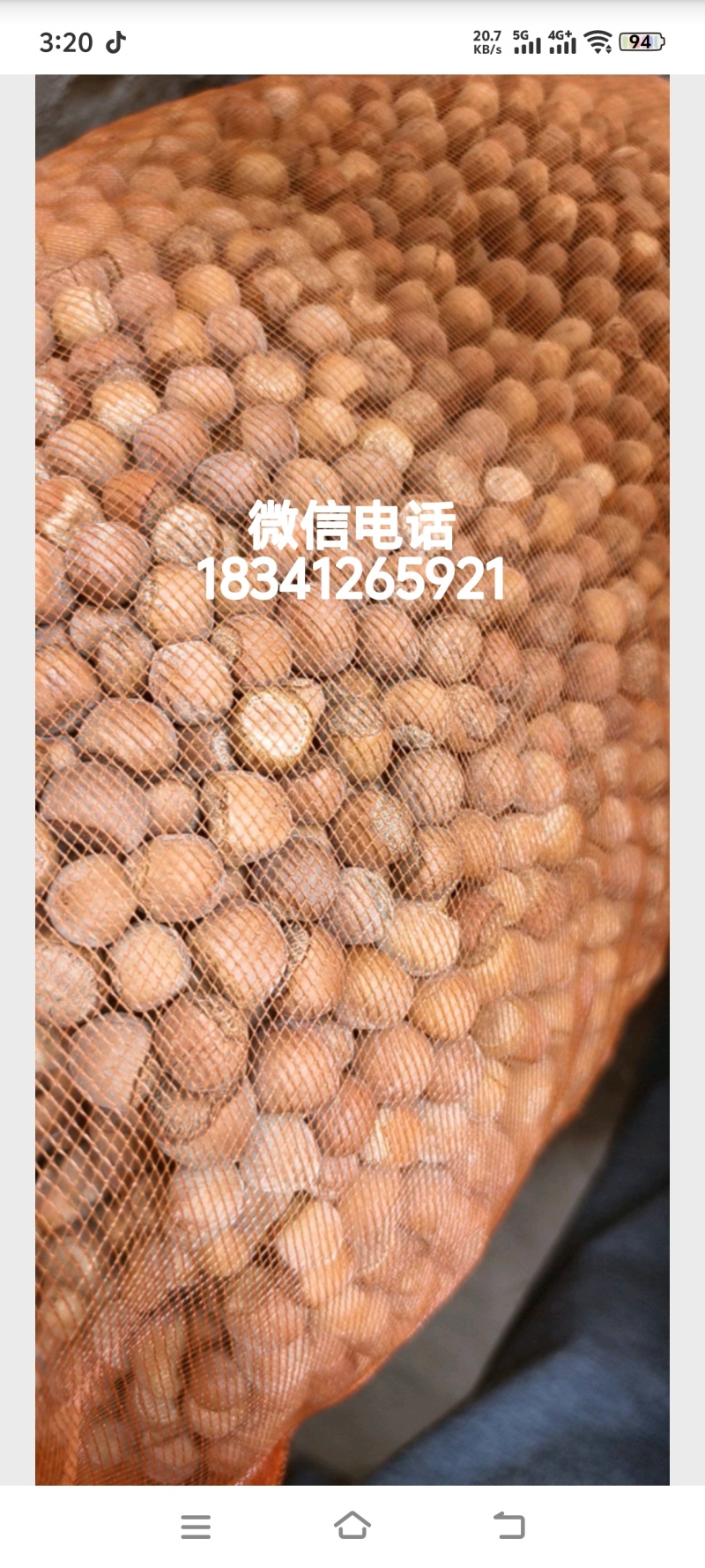 野生榛子自己家山上的榛子，上门自取***********
