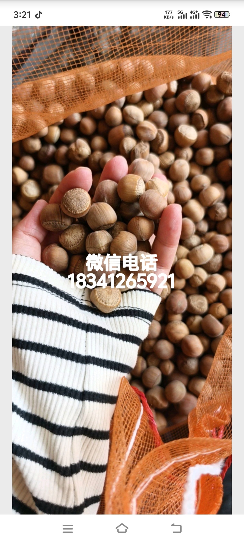 野生榛子自己家山上的榛子，上门自取***********