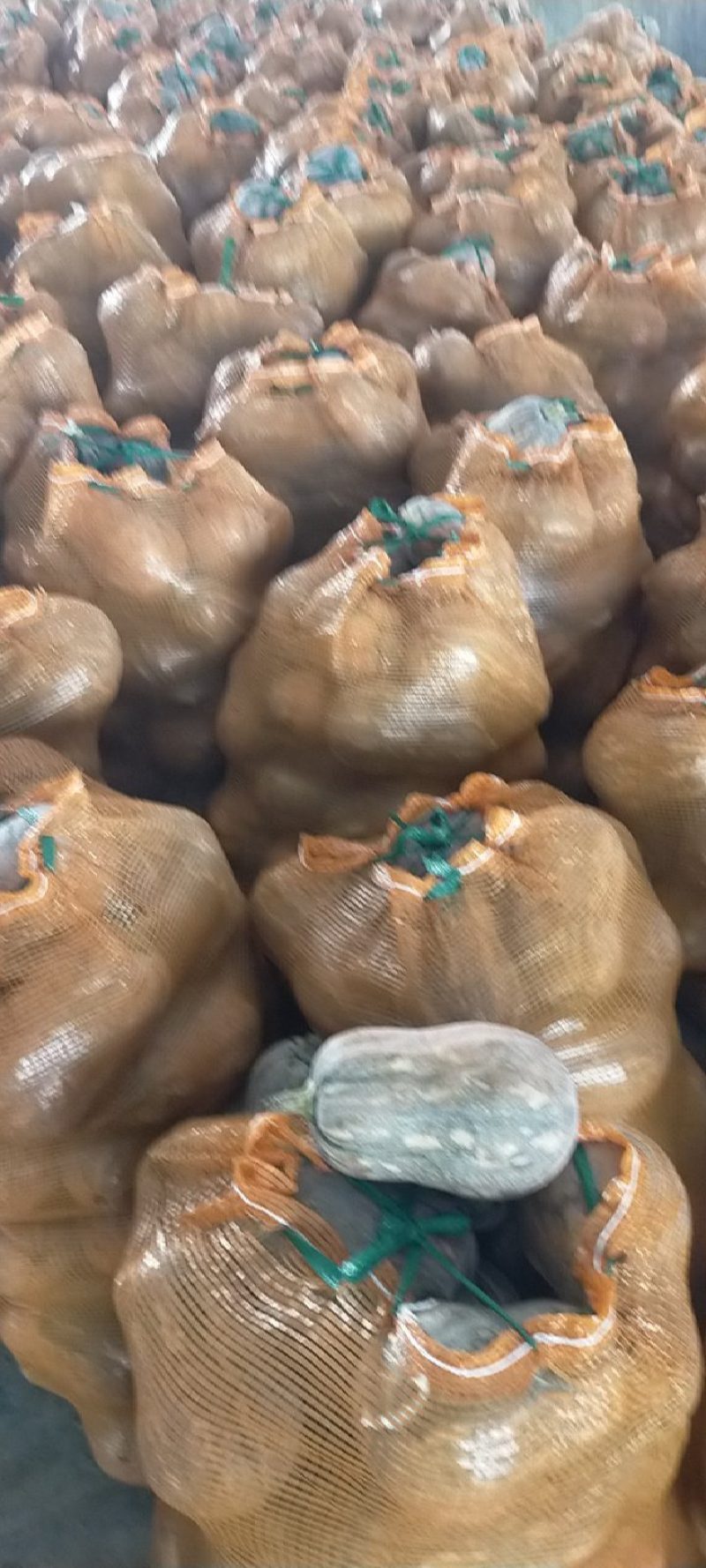 小金香南瓜，产地直发，大量有货，量大从优，可对接全国