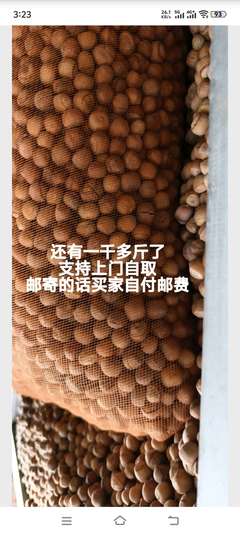 野生榛子自己家山上的榛子，上门自取***********