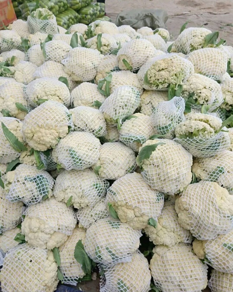 安徽菜花有机松花菜白面青梗散花货源稳定代收代发