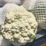 安徽菜花有机松花菜白面青梗散花货源稳定代收代发