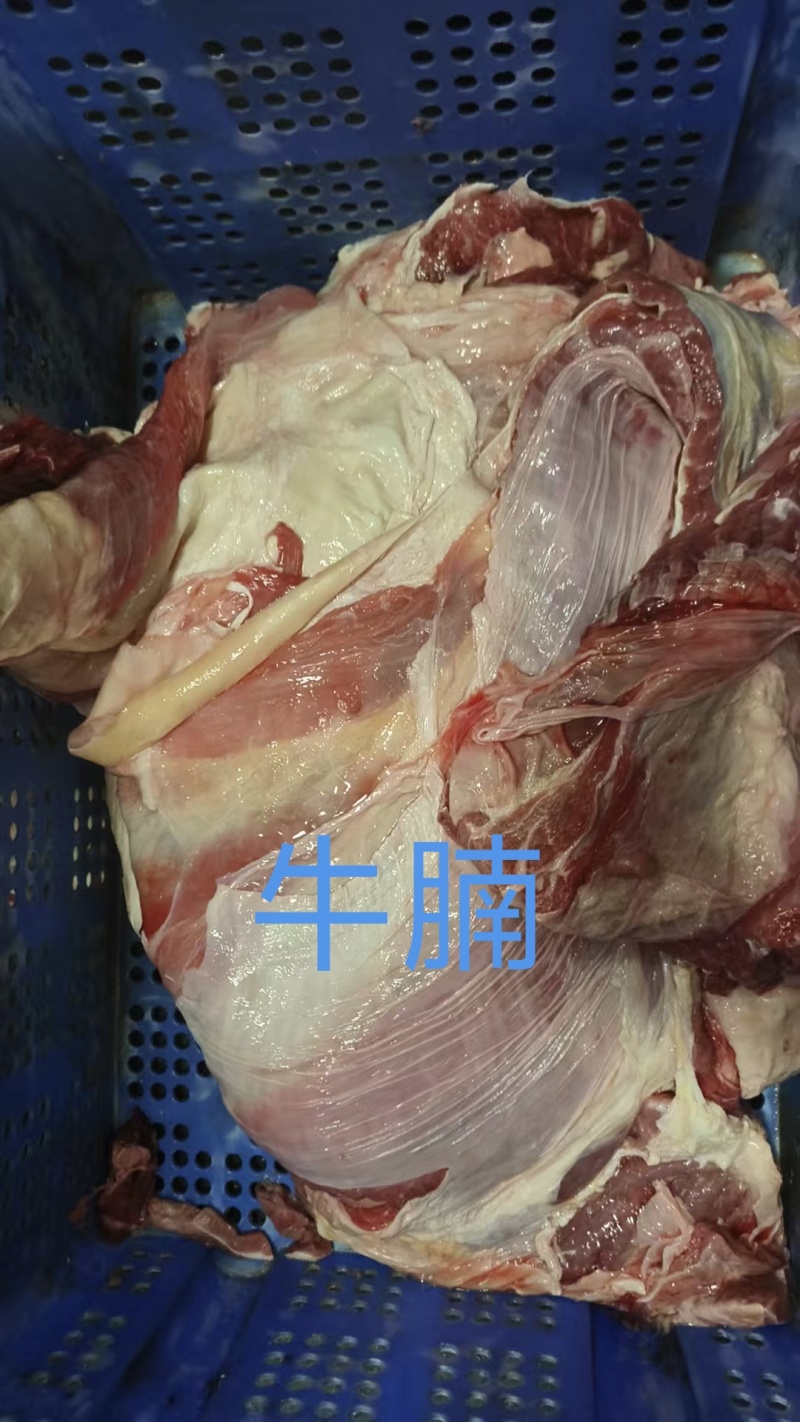 牛腩