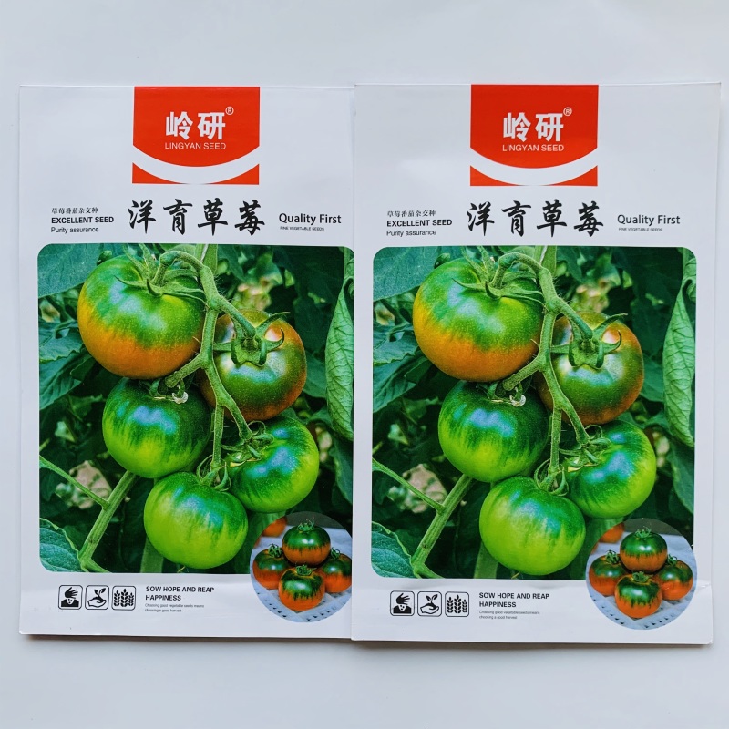 洋育草莓番茄种子大果铁皮柿子种籽东北草莓西红柿种子带绿肩
