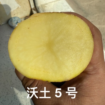 武川土豆