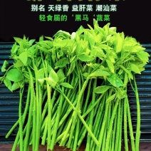 普宁树仔菜鲜香每日采，**潮汕味