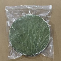【商用批发推荐】微山湖荷叶商用批发圆形荷叶商用荷叶烤鸡