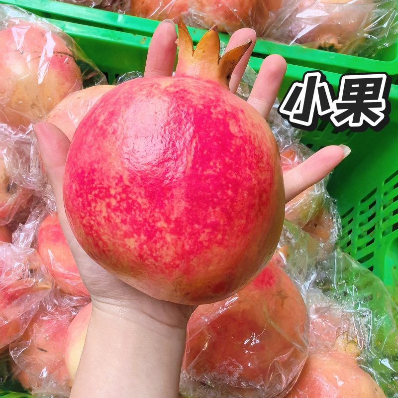 临潼石榴新品骊山红半软籽石榴，自有百亩果园，欢迎合作！